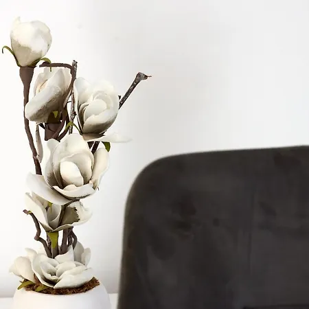 Fratelli アパート